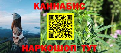 сатива Камышлов