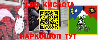 тгк Канаш