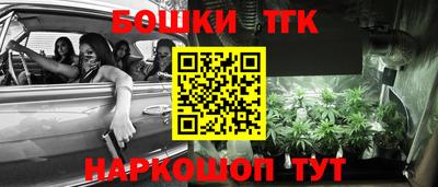 тгк Канаш