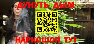 сатива Камышлов