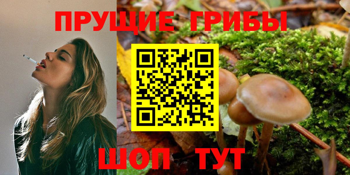Галлюциногенные грибы мицелий Гусь-Хрустальный