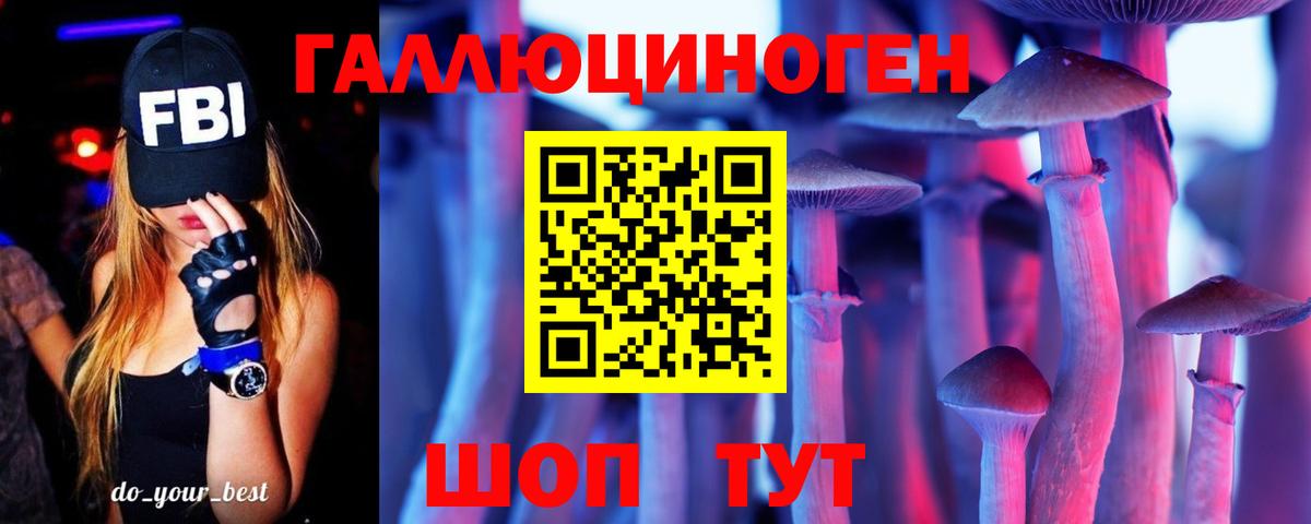 Гусь-Хрустальный  Галлюциногенные грибы Psilocybine cubensis  Вход с VPN 